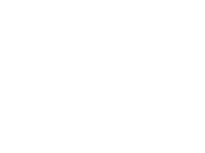 logo NeuroWulf